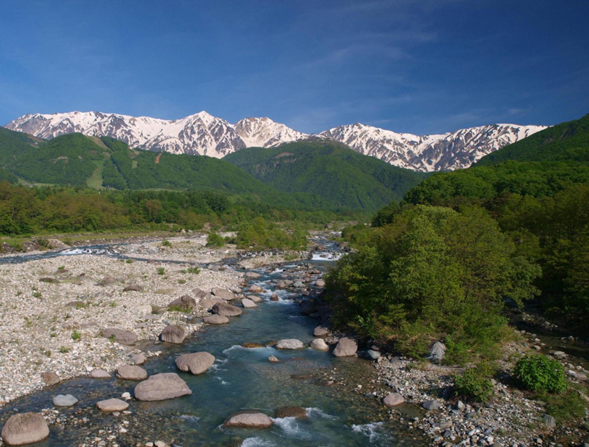 Hakuba Mominoki Hotel Exterior photo